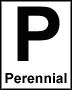 perennial